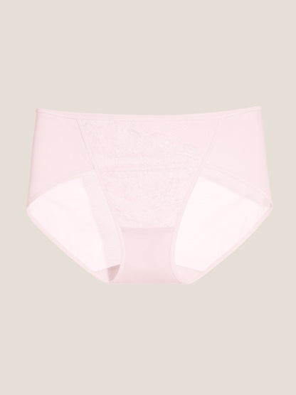 Chantilly Lace Brief