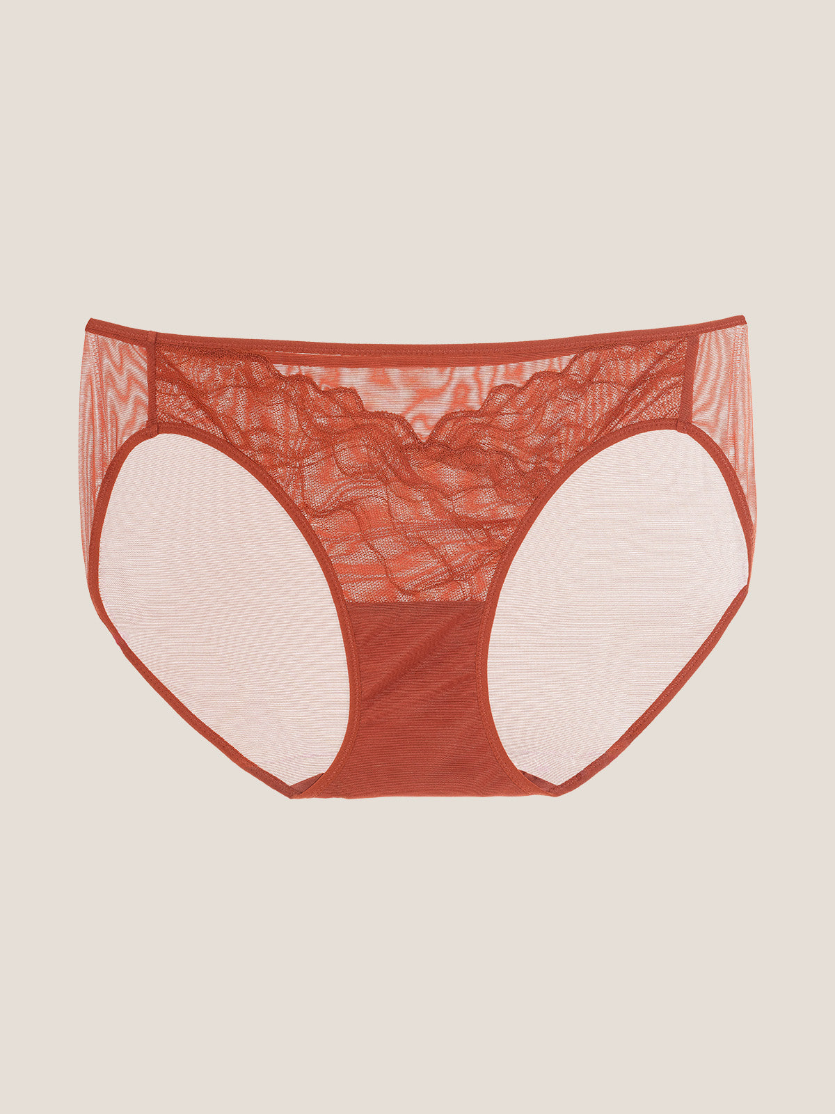 Lace Hiphugger Brief